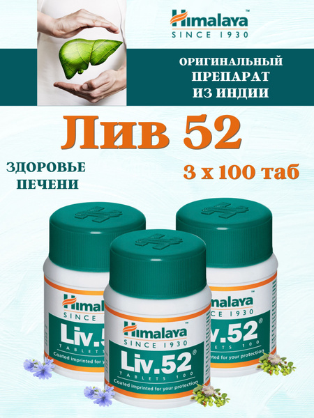 Liver Support Herbal Supplement (300 Tablets)