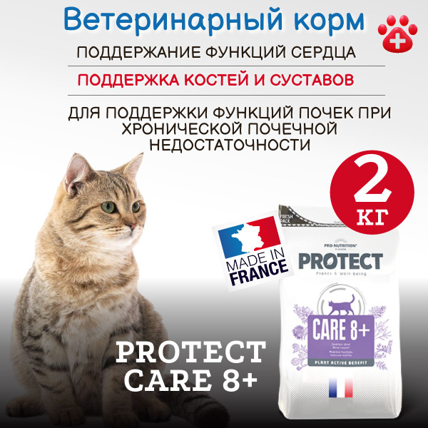 Protect Care 8+ Senior Cat Kidney Support Dry Food: Joint, Heart & Skin Health (2kg)