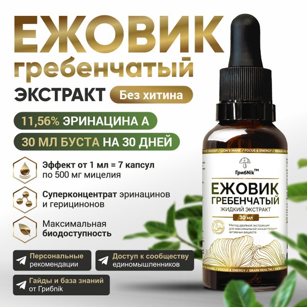 Lion's Mane Extract (30ml): Natural Nootropic for Brain Health