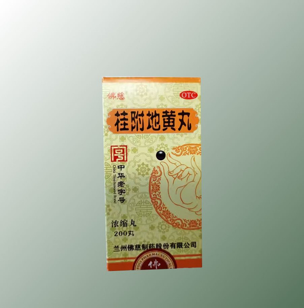 Guifu Diwan Wan 200 Tablets for Kidney Support