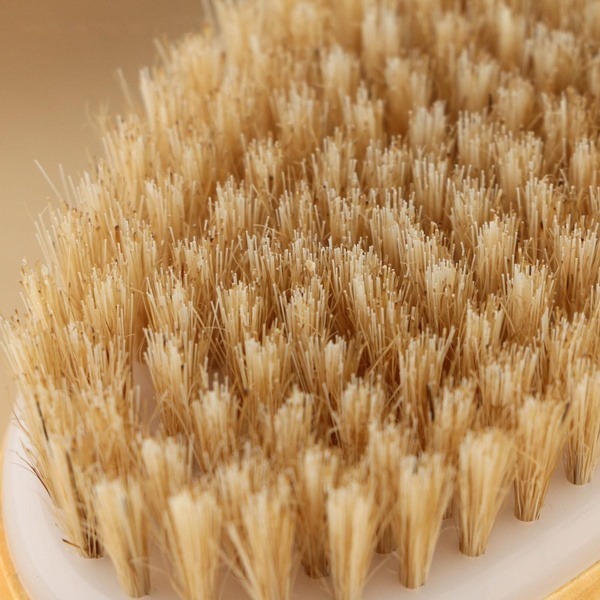Dry Brush Massager (12 x 7 cm)