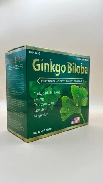 Ginkgo Biloba, Magnesium B6, & CoQ10 (240mg) - 100 Capsules - Vietnam