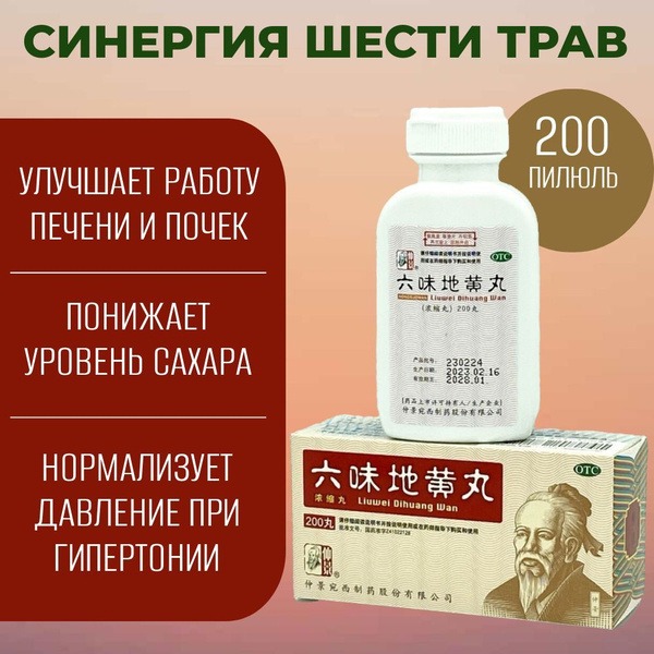 Liu Wei Di Huang Wan (200 Pills): Kidney Support Supplement