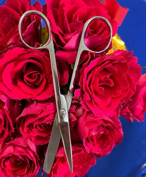 SkyRain Surgical Instrument