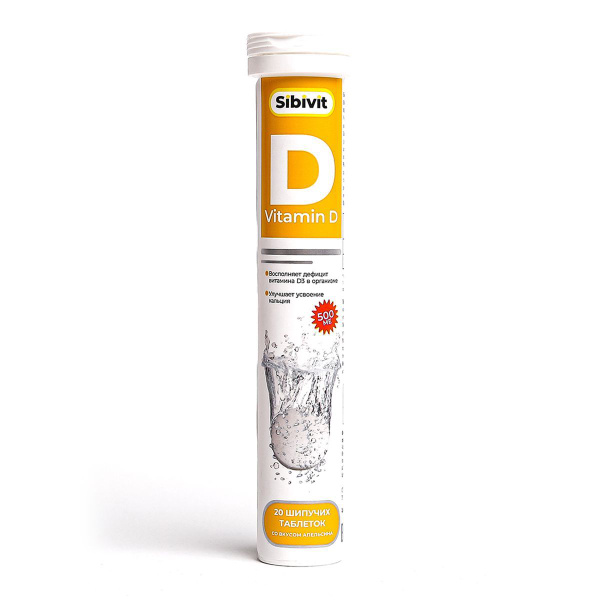 Orange Flavored Vitamin D3 500 IU Tablets (20 Count)