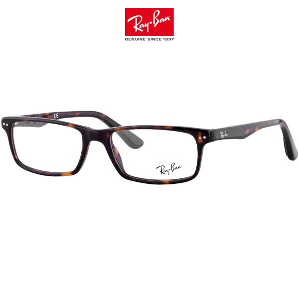 Ray-Ban 5277 2012 Sunglasses (54mm)