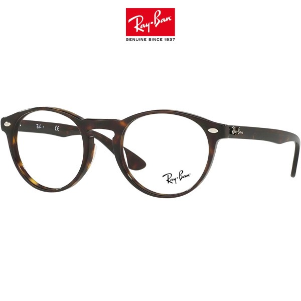 Ray-Ban Round Metal 5283 Sunglasses (51mm)