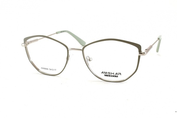 AMSHAR 8868 C9 Eyeglass Frames