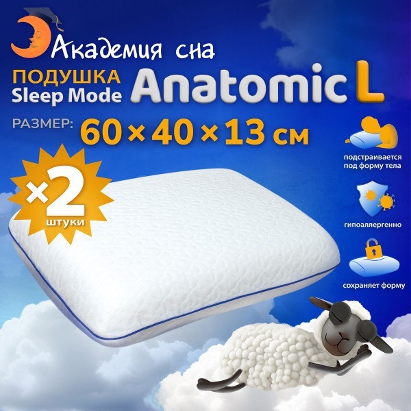 Memory Foam Orthopedic Pillow Set (2 Pack)