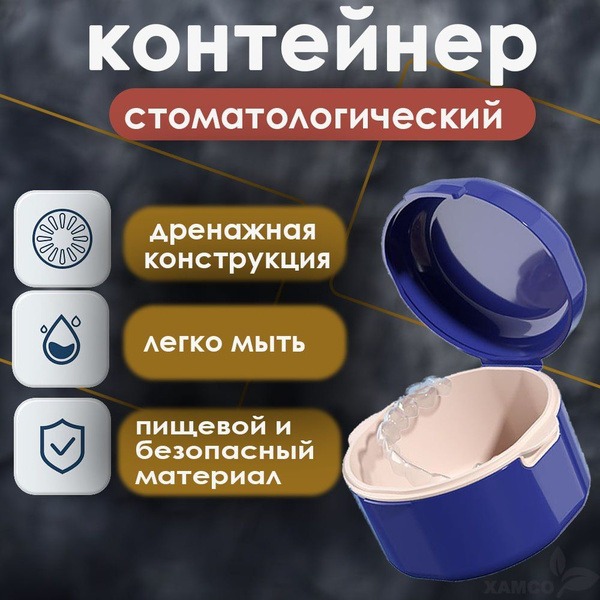 Premium Blue Dental Prosthesis Case & Night Guard Container