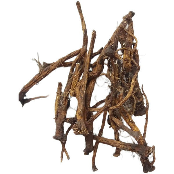 Dandelion Root Benefits