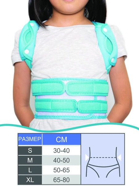 Back Support Corset