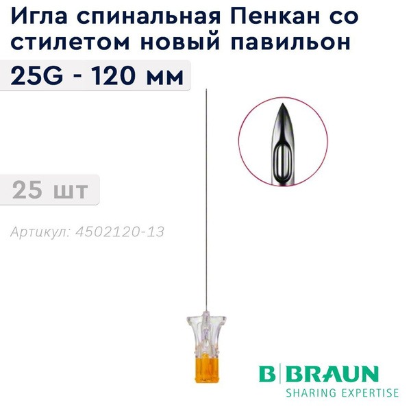 Pencan Spinal Needle with Stylet, 25G x 120mm - B. Braun (25 Pack)