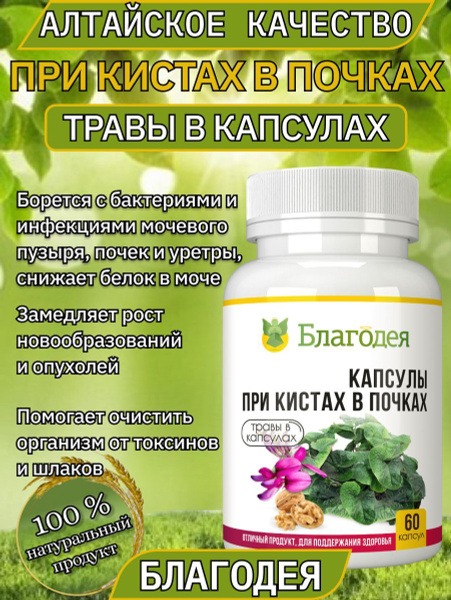 Kidney Cyst Capsules: Blagodeya-Altai (60 Capsules)