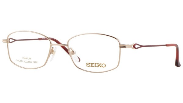 Seiko T7025-010 Titanium Watch Frame