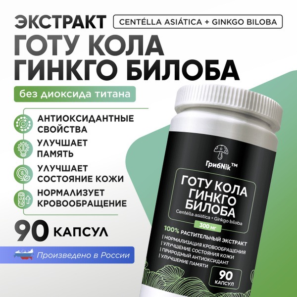 Ginkgo Biloba Capsules 90 Count, 300mg - ГрибNik