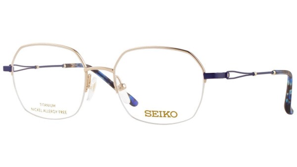 Seiko T7013-011 Titanium Watch Frame
