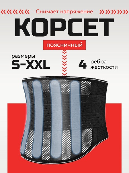 Back and Lumbar Support Belt