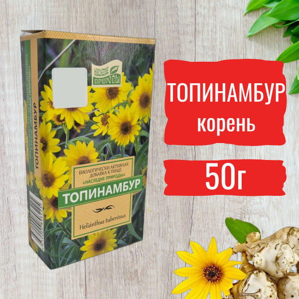 Jerusalem Artichoke Tea for Diabetes, Kidney Stones, Prostate Health