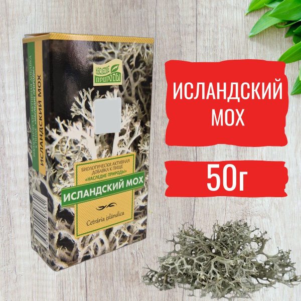 Icelandic Moss Cetraria 50g (Nature's Legacy) Cough & Immunity Tea