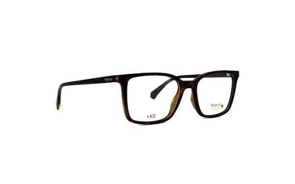 Polaroid D499 C086 Frames