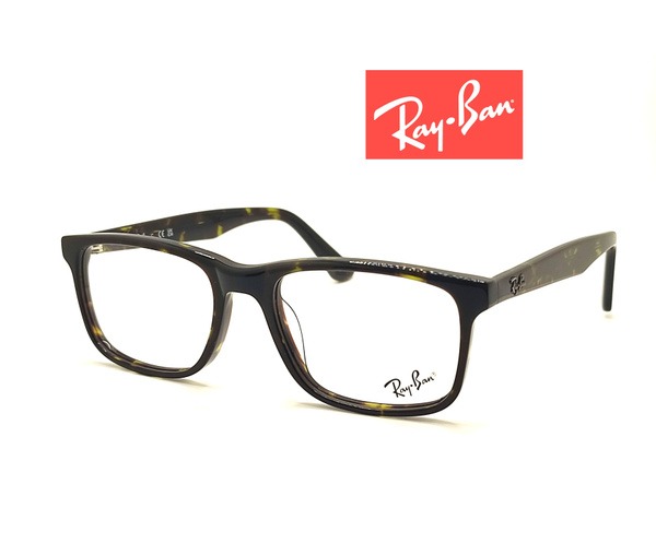 Ray-Ban Eyeglass Frames