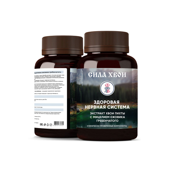 Pine Needle Power: Vitamins for a Healthy Nervous System