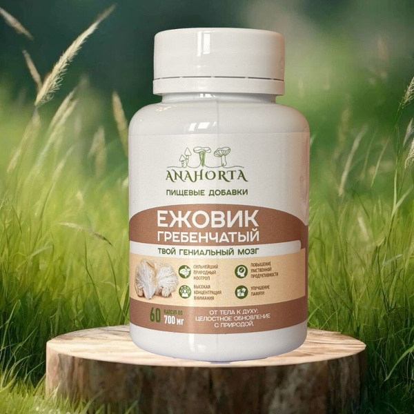 Lion's Mane Mushroom Supplement (60 Capsules)