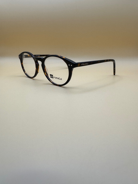 Eyeglass Frames