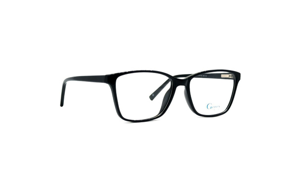 Genex 1308 C004 Eyeglass Frames