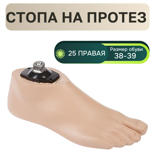 Right Foot Prosthetic Socket, Size 38-39, Part #AS10-C