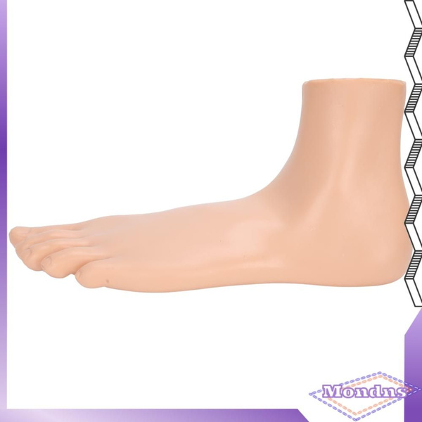 Human Foot Model