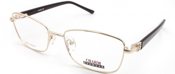 CHARM 5501 C1 Eyeglass Frames