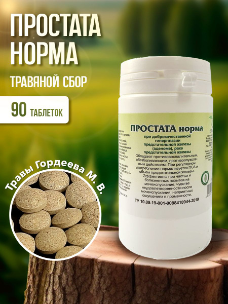 Prostate Health Supplement: Gordeev "Prostata Norma" Herbal Tablets (90ct)