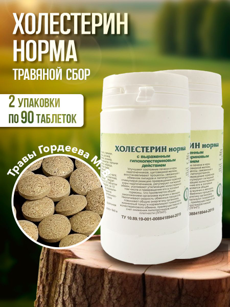 Gordeev Cholesterol Normal Herbal Supplement: 90 Tablets (2 Packs)