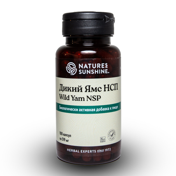 Wild Yam NSP Capsules: 519mg Dietary Supplement