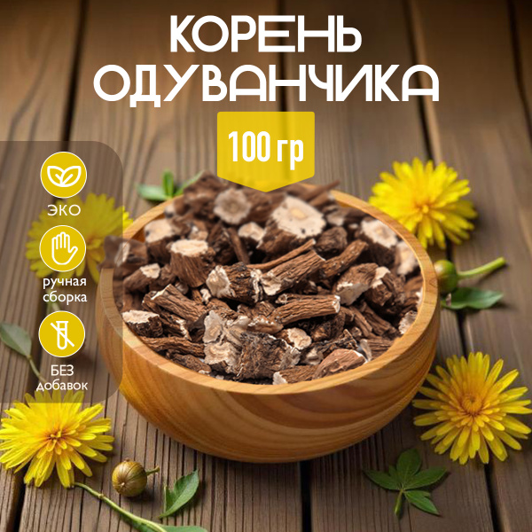 Dandelion Root Benefits