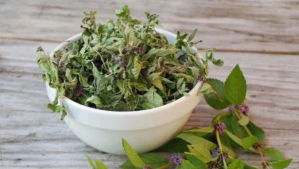 Siberian Mint Herbal Tea (65g)