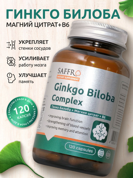 Ginkgo Biloba & Magnesium B6 Supplement - 120 Capsules