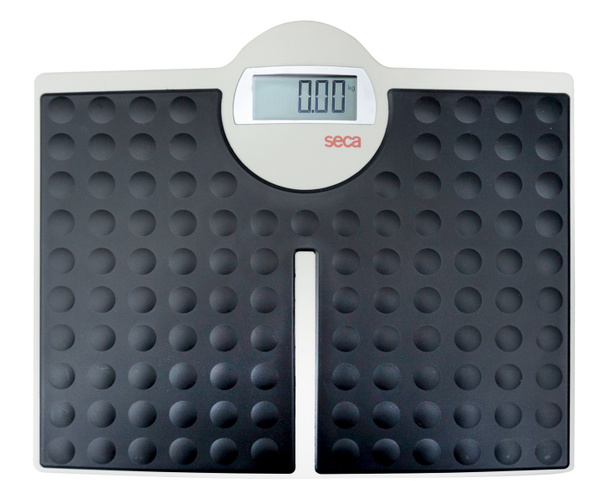 seca 813 Electronic Floor Scale with Accessories