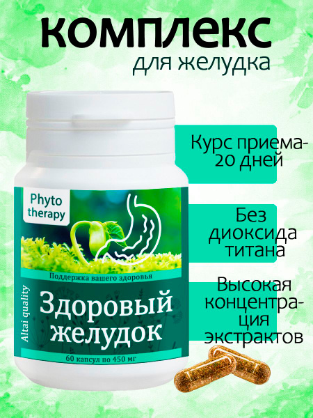 Chaga Mushroom & Burdock Root Stomach Support Supplement - 60 Capsules