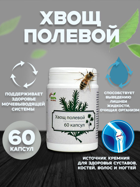 Field Horsetail Supplement for Hair, Skin & Nails - 60 Capsules