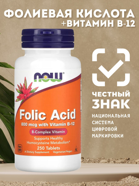 NOW Foods Folic Acid 800mcg - 250 Tablets: Prenatal Vitamins for Women