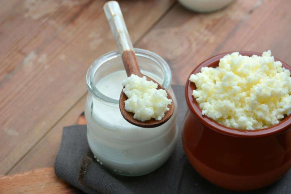 Milk Kefir Grains
