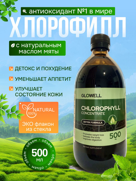 Liquid Chlorophyll Concentrate for Weight Loss: Alfalfa & Mint, 500ml
