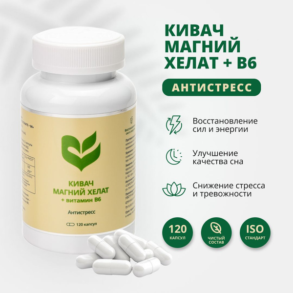 Magnesium Glycinate + B6 120 Capsules - Kivac