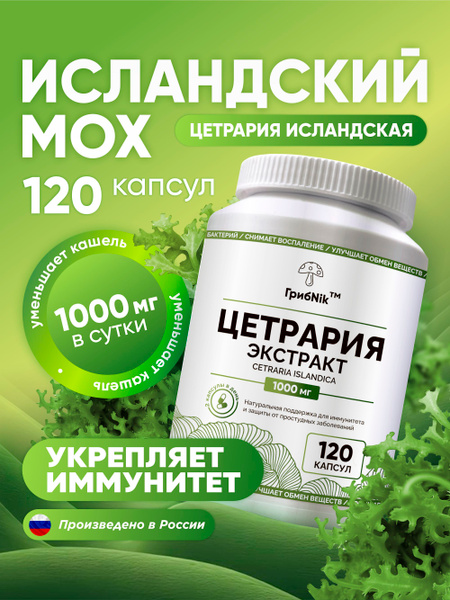 Iceland Moss Cough Syrup Capsules (120 x 500mg) - Cetraria Islandica Extract by GribNik