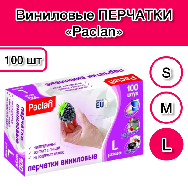Paclan Vinyl Gloves - Powder-Free, Disposable, Clear, Size Large (100 Count)
