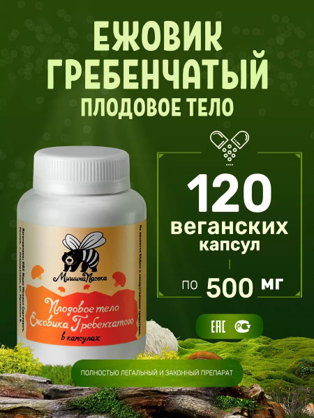 Lion's Mane Mushroom Vegan Capsules (120 x 500mg) - Dried Extract Supplement