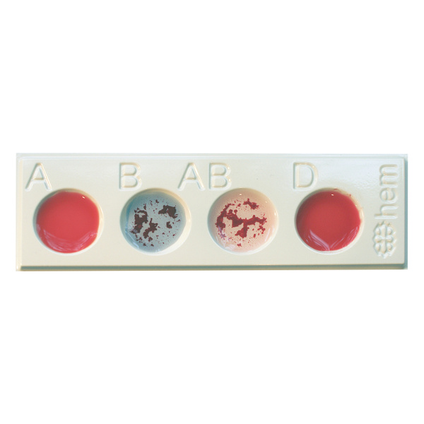 Disposable Blood Typing Slide, 148x48mm, 4 Wells, 100 Pack